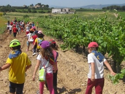 Director/a d’activitats d’educació en el lleure infantil i juvenil
